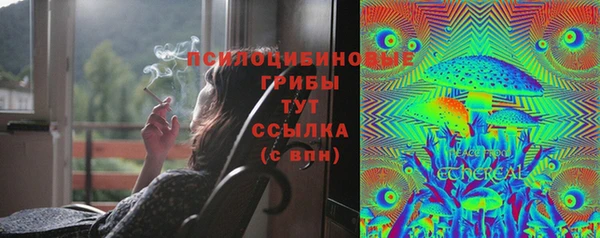 прущий лед Магас