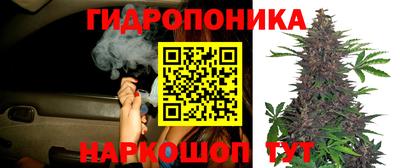не бодяженный Гусиноозёрск