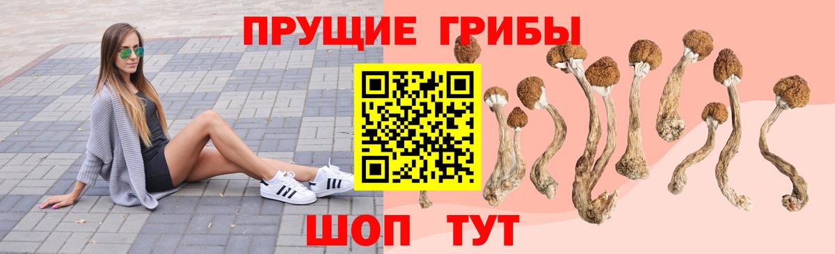 Псилоцибиновые грибы мухоморы  Галлюциногенные грибы Magic Shrooms  Кандалакша  Вход с VPN 