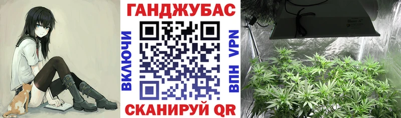 Конопля планчик  сколько стоит  Кандалакша 